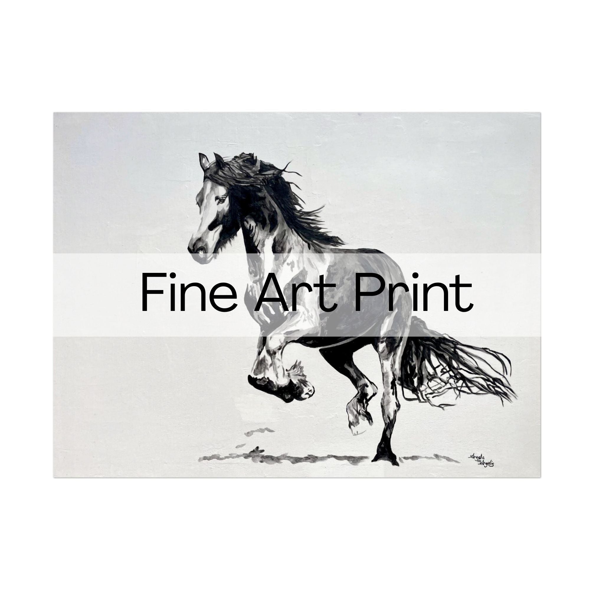 Prints - fine art paper
