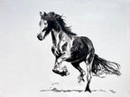 Fierce Friesian
